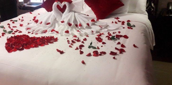 20799947_716998221838437_5030218585532542047_n