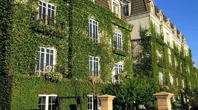 found_14261272_1385941