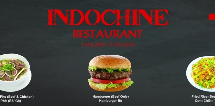 minisite-indochine-01-01-2