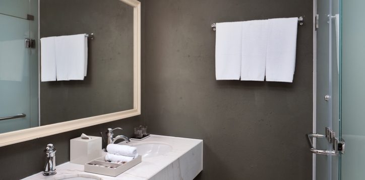 family-delux-bathroom-web-2