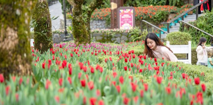 476115368_1538289500343509_6623963517483827703_n-2