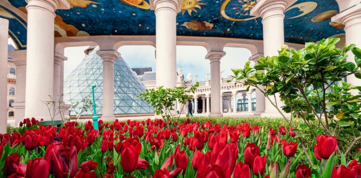 476488288_1538289970343462_5899320578225916738_n-2