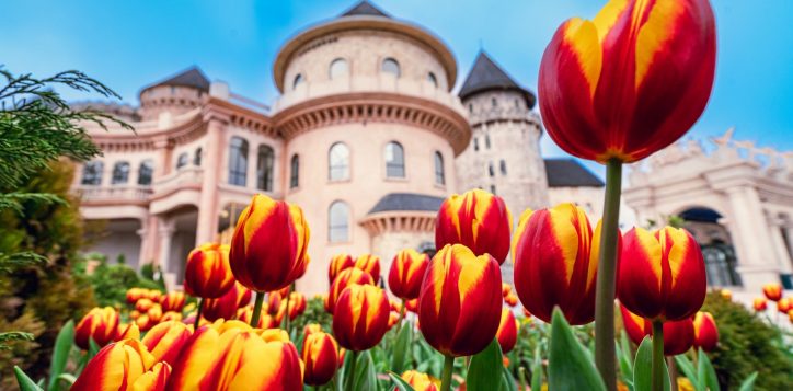 476496344_1538289900343469_8534363391696239381_n-2