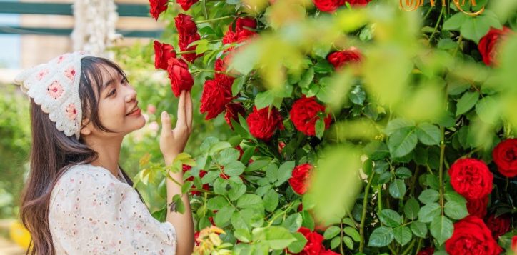 495280045_754958256855626_9215686564208100827_n-2