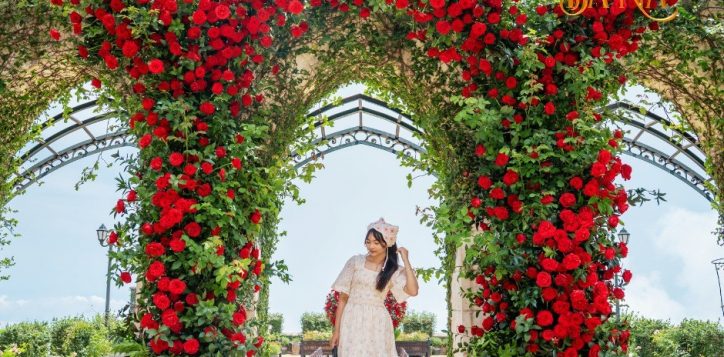 495568738_754958213522297_7461430401491422892_n-2