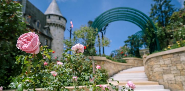 rosa-garden-2-2